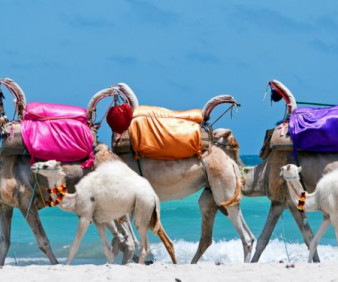 Tunisia cultural group tours